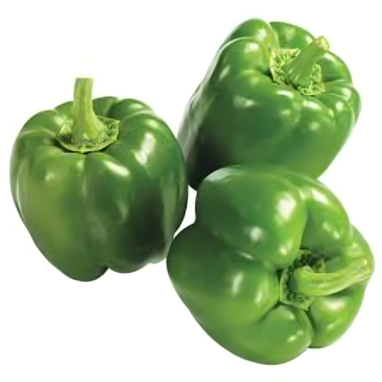 Bell Pepper Green