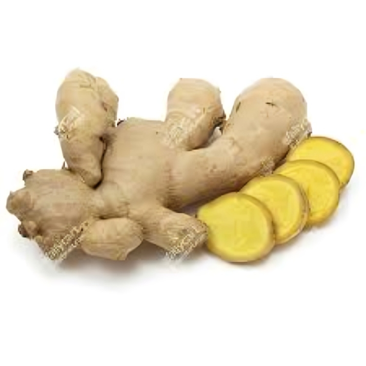 Ginger