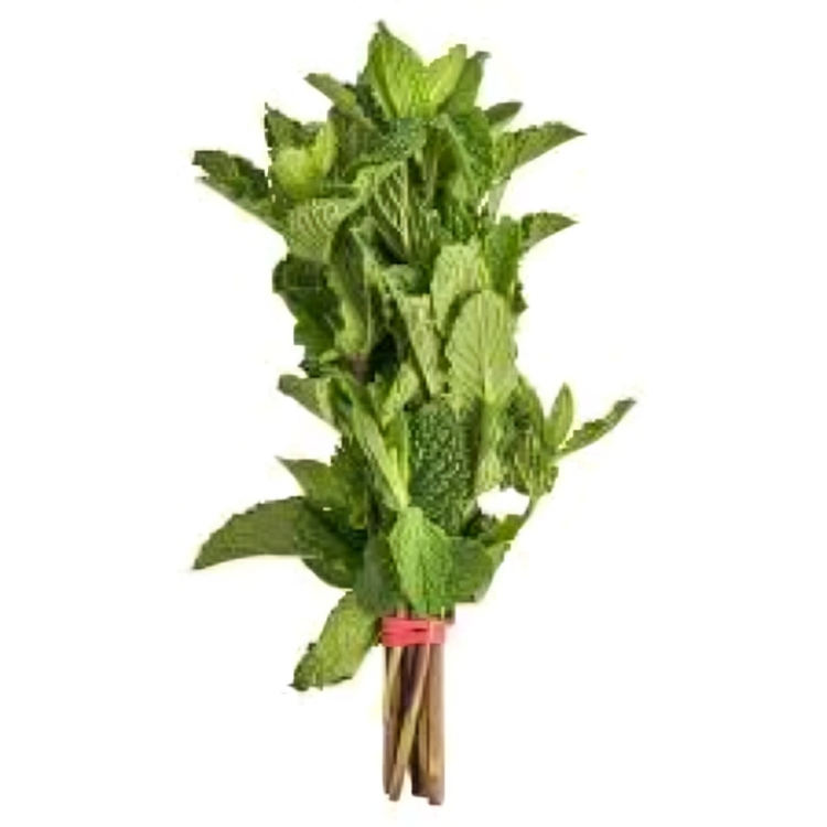 Mint