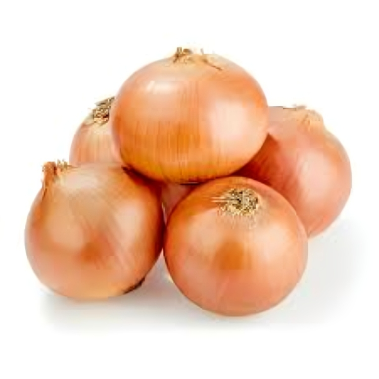 Onion